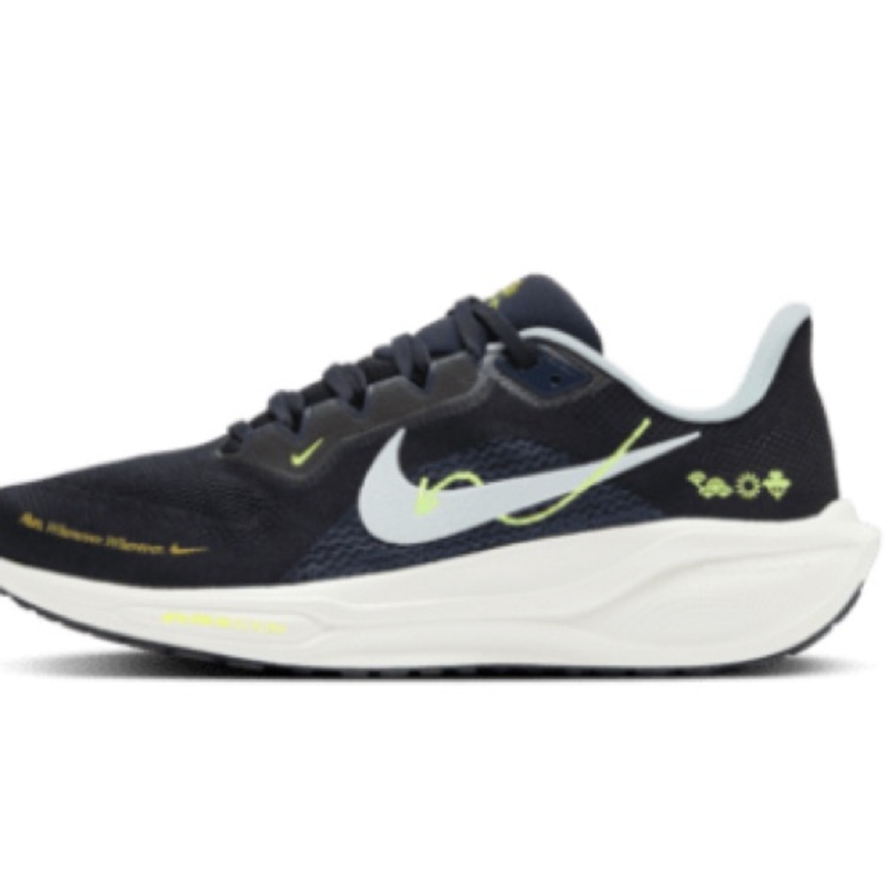 Nike Pegasus 41